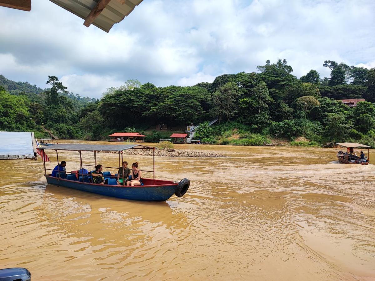 Tekoma Resort Taman Negara كُوالا تاهان المظهر الخارجي الصورة