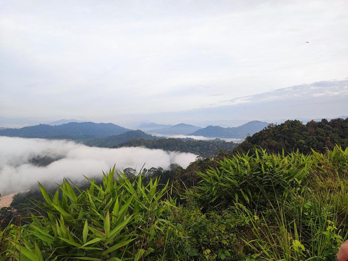 Tekoma Resort Taman Negara كُوالا تاهان المظهر الخارجي الصورة