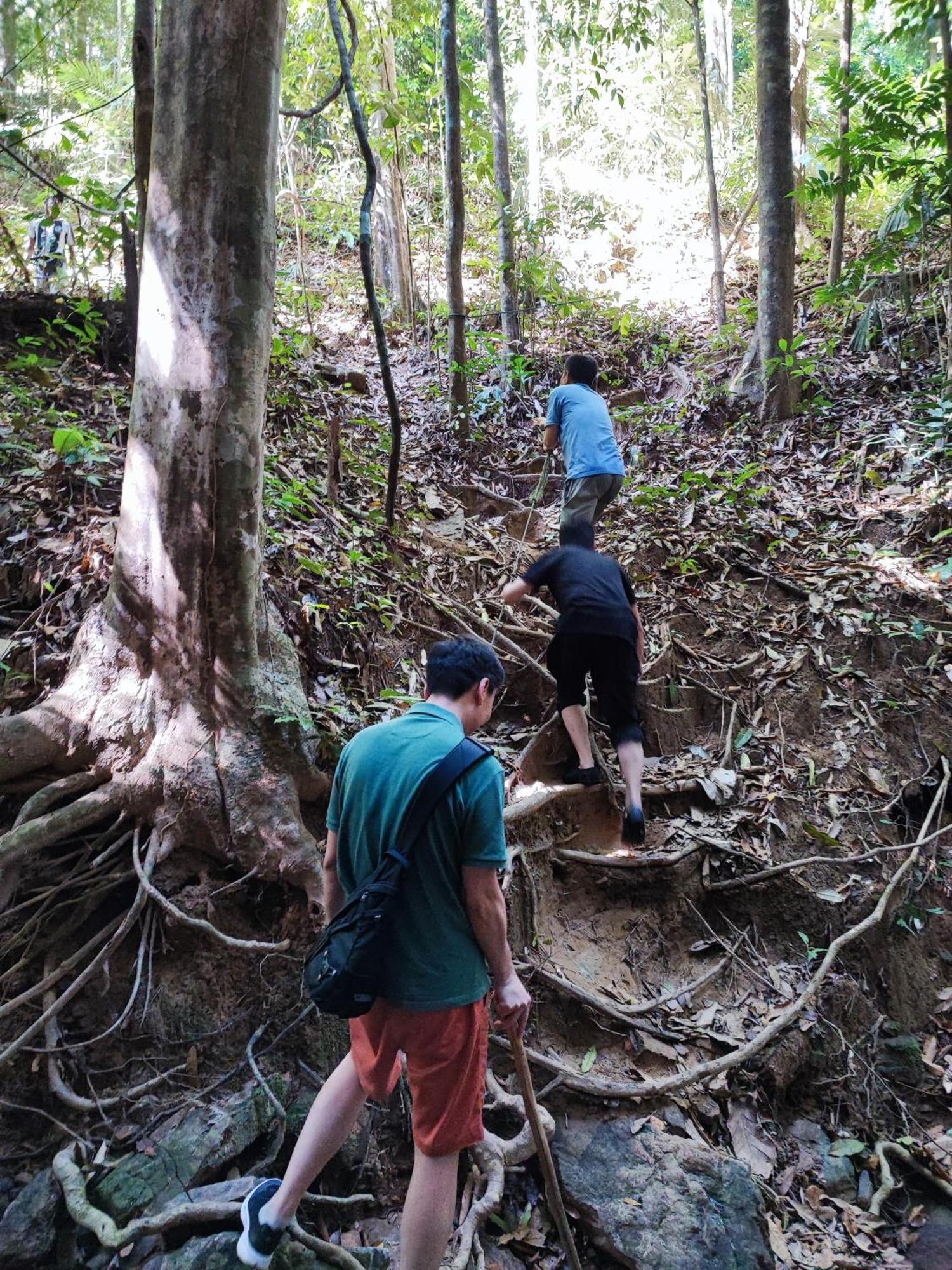 Tekoma Resort Taman Negara كُوالا تاهان المظهر الخارجي الصورة