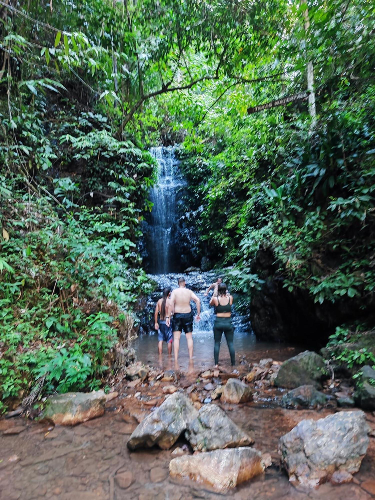 Tekoma Resort Taman Negara كُوالا تاهان المظهر الخارجي الصورة